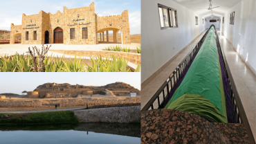 Salalah : Private Full Day Sightseeing Tour
